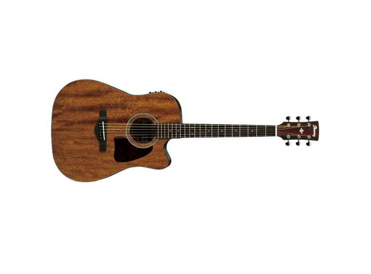 Ibanez AW54CE OPN akgitar 